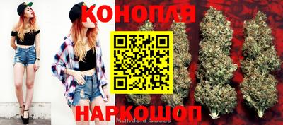 эйфоретик Апшеронск