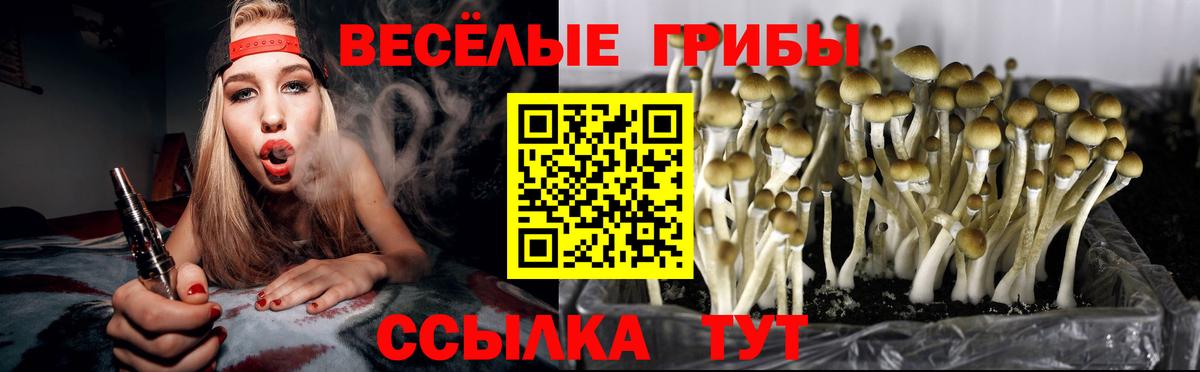 купить наркоту  Вход с VPN  Батайск  Псилоцибиновые грибы MAGIC MUSHROOMS 